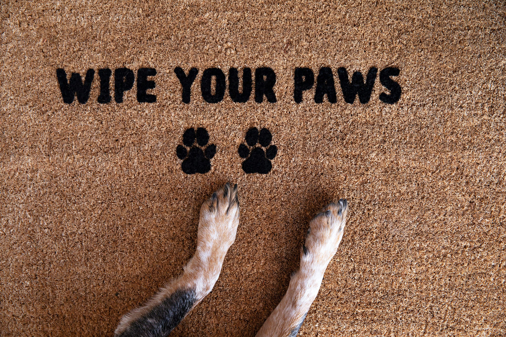 Wipe Your Paws Doormat Embossed - NZ