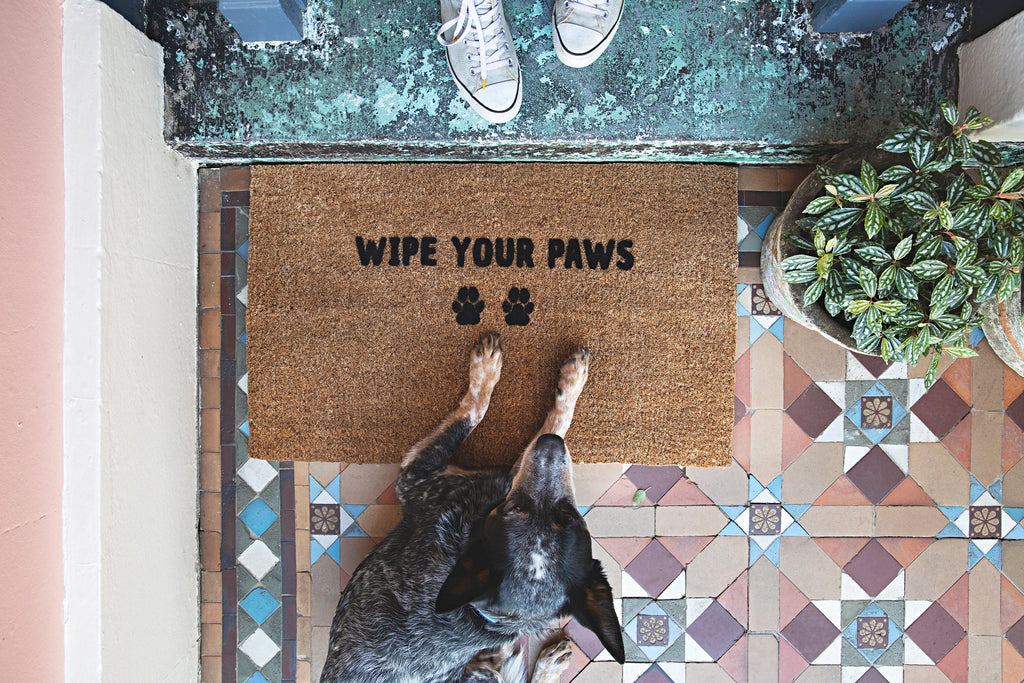 Wipe Your Paws Doormat Embossed - NZ