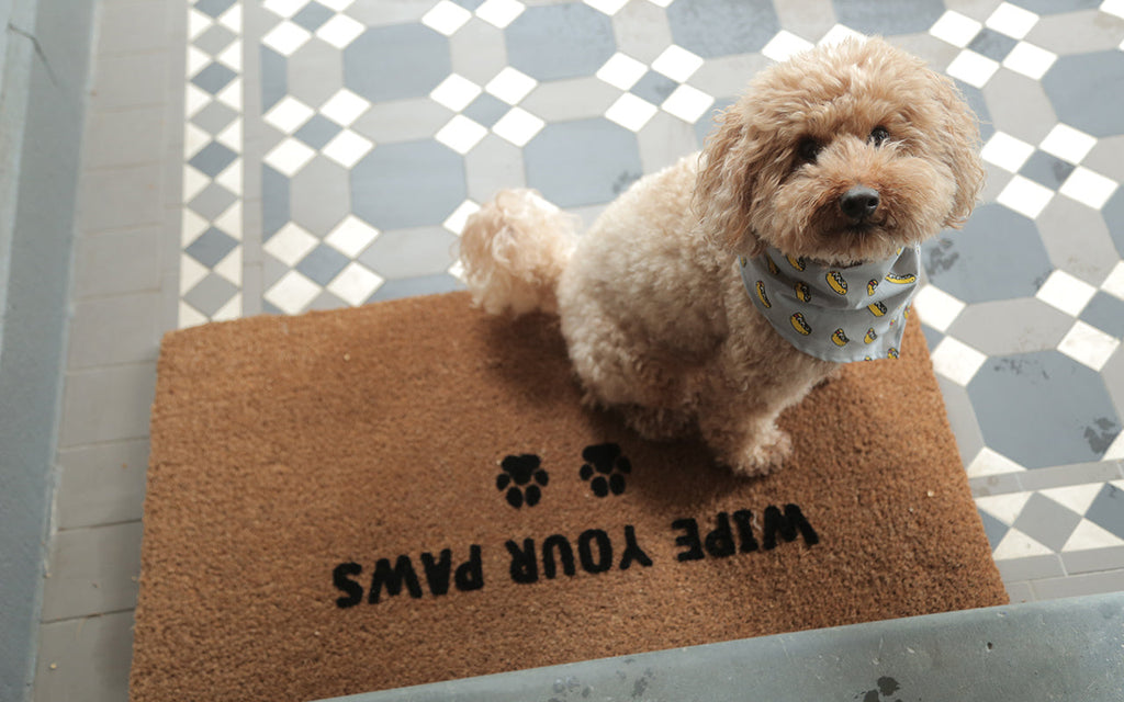 Wipe Your Paws Doormat Embossed - NZ