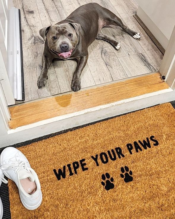 Wipe Your Paws Doormat Embossed - NZ